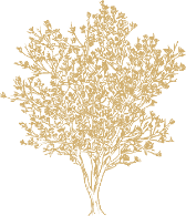Magnolia Kitchens & Bathrooms tree emblem